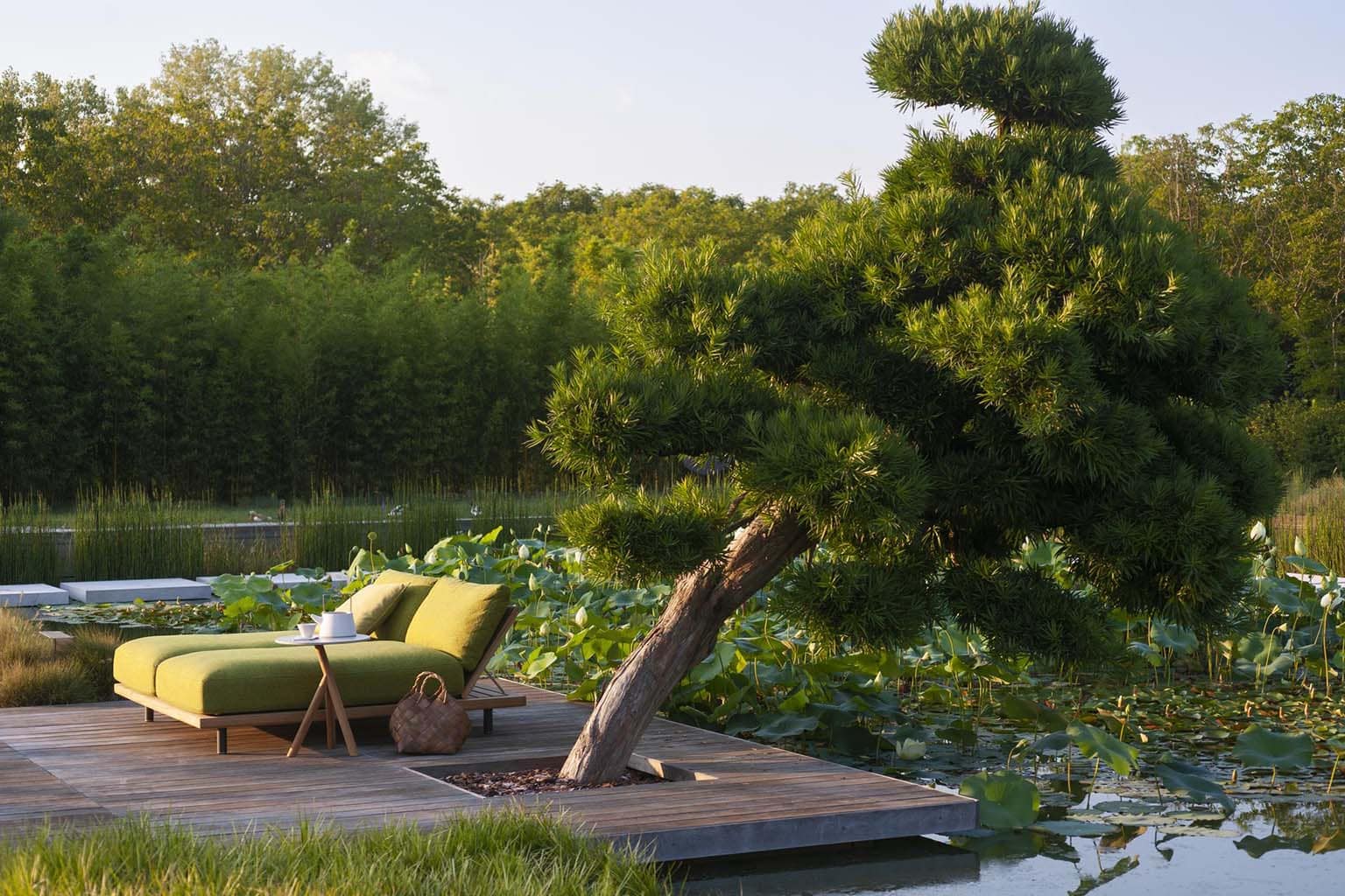 Read more about the article RODA: RODA _ renews the ISO 14001:2015 certification