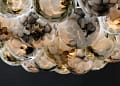 BOCCI: New colours for the season: Grey, Green and Bronze