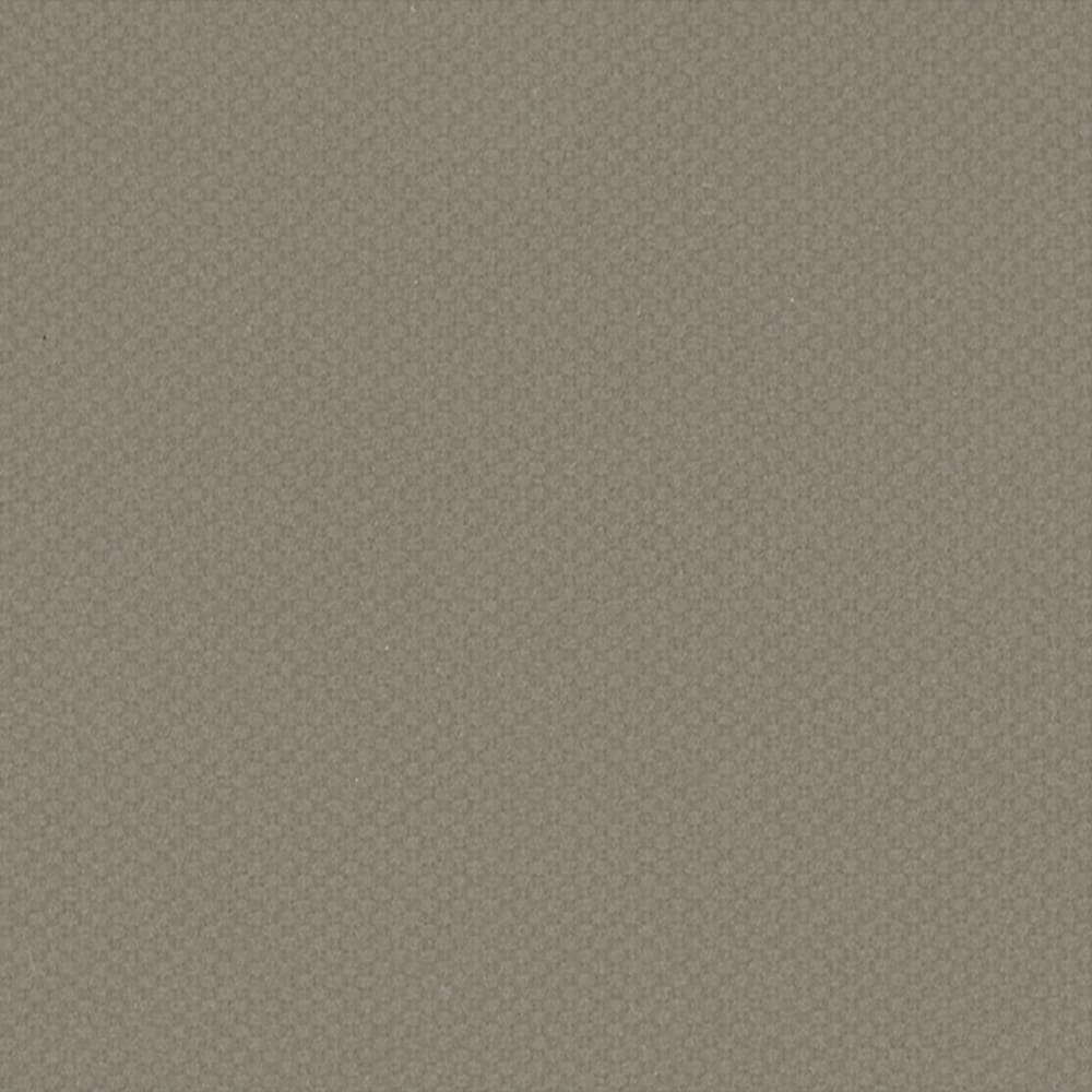 Raster Champagne