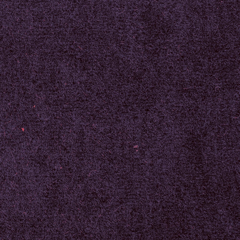 09 Viola