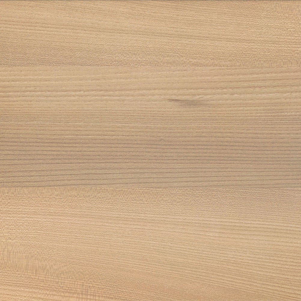Elm