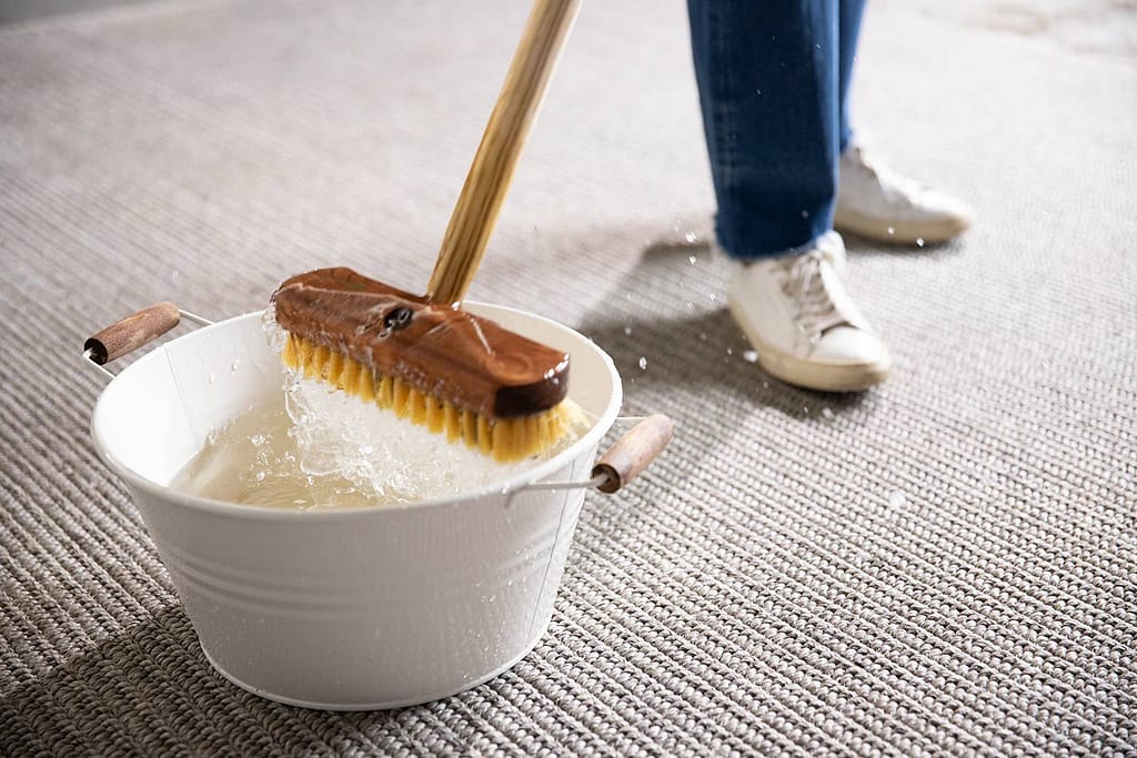 Limitededitionhowtocleanburobonito37 Websize 1