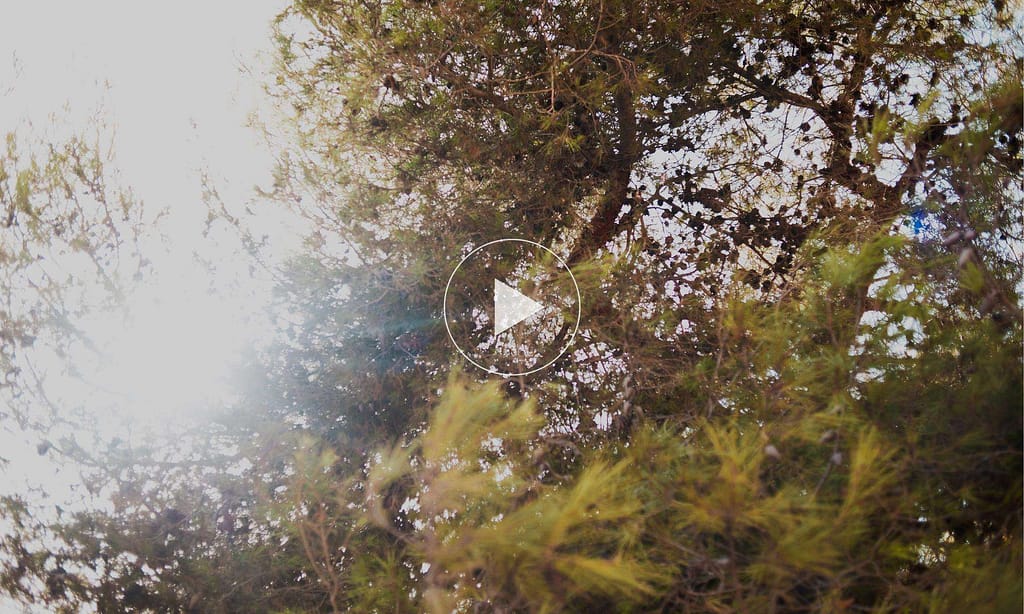 Copertina Video Catalogo 2024(0)