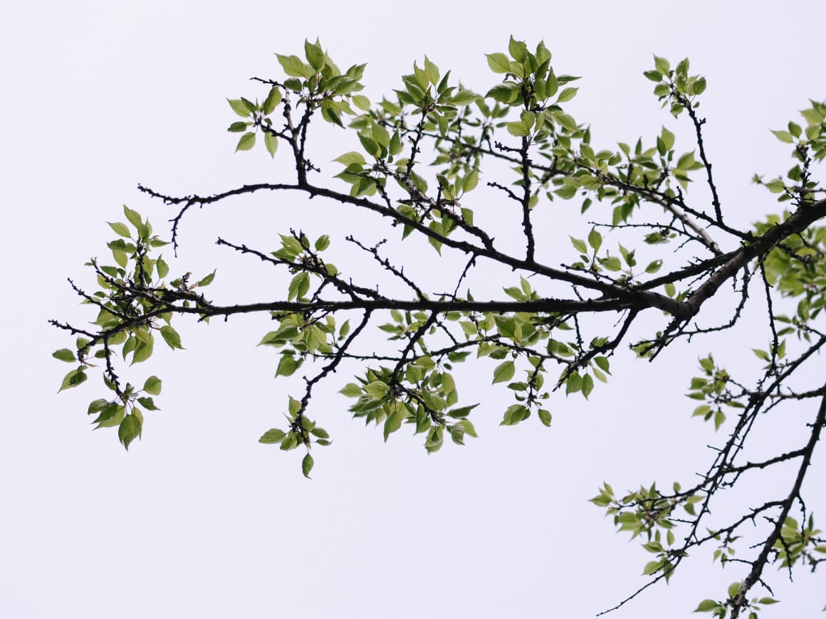 Read more about the article Arper: Designing the world we live in