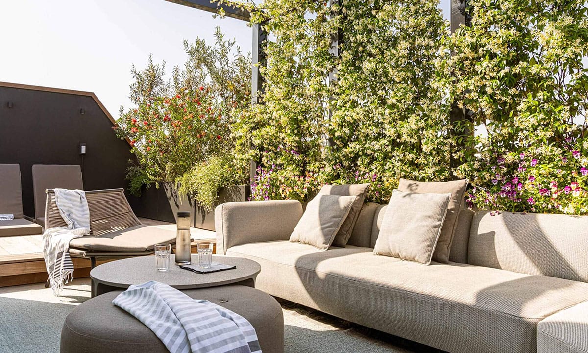 Read more about the article Roda: Projects around the world November 2024