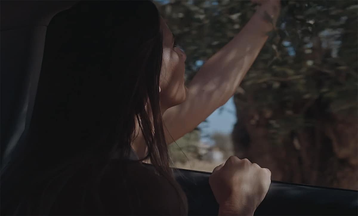 Read more about the article Roda: Discover the new catalogue 2024