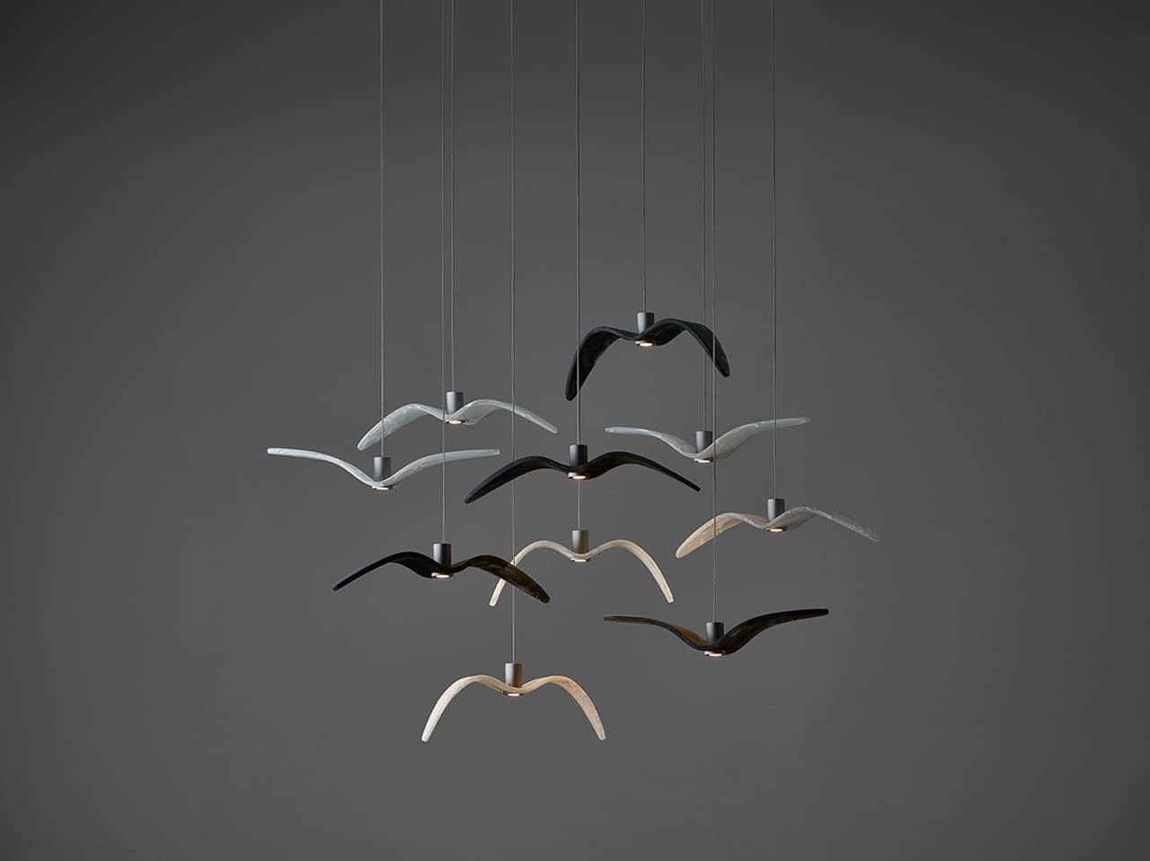 Read more about the article BROKIS: The story of Night Birds Mini