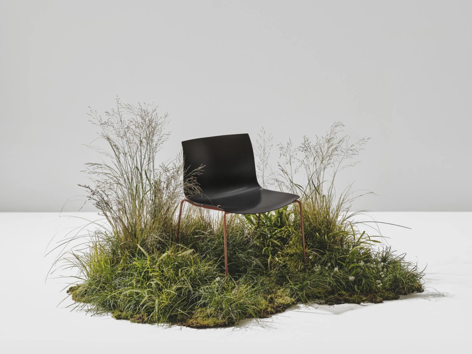 Read more about the article Arper: Catifa Carta: Redefining Beauty