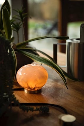 6d068c61 1d9d 5afe 1ebb Ee3121c9c031