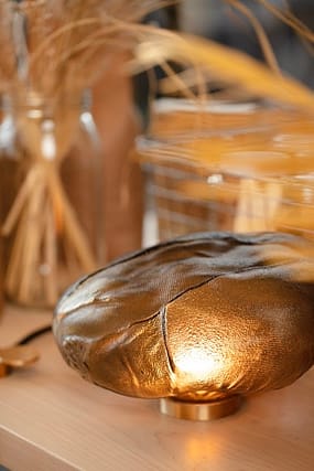 Bb4180a7 2d26 3f94 0b8d 29fff772cd1b