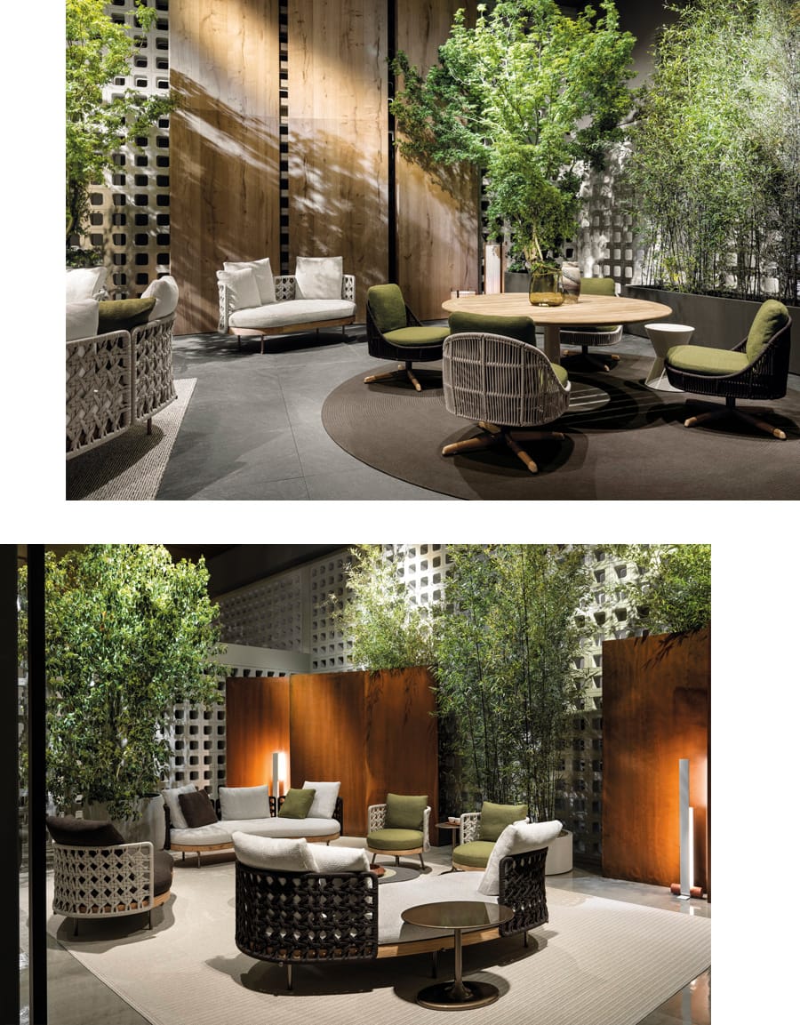 MINOTTI_SALONE7B