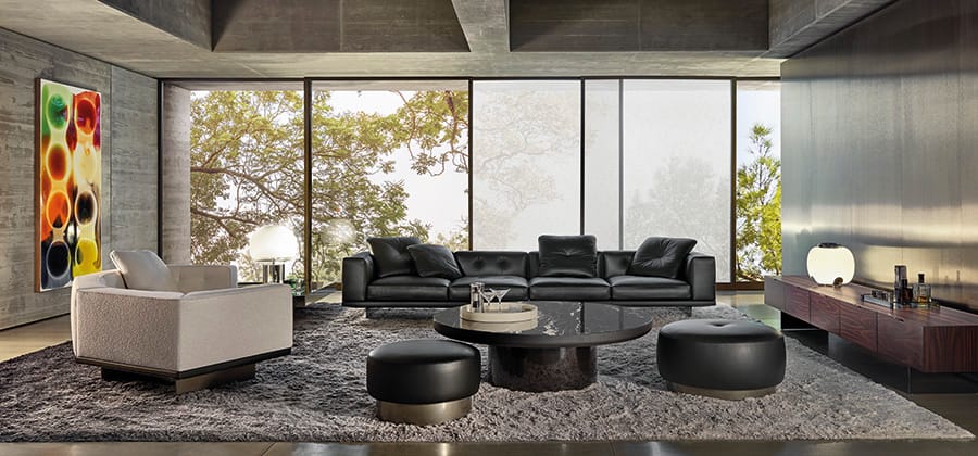 42073 N Minotti Dylan 06