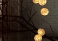 BOCCI | SCULPTURAL LIGHT: 118 SERIES AVAILABLE ON DISPLAY