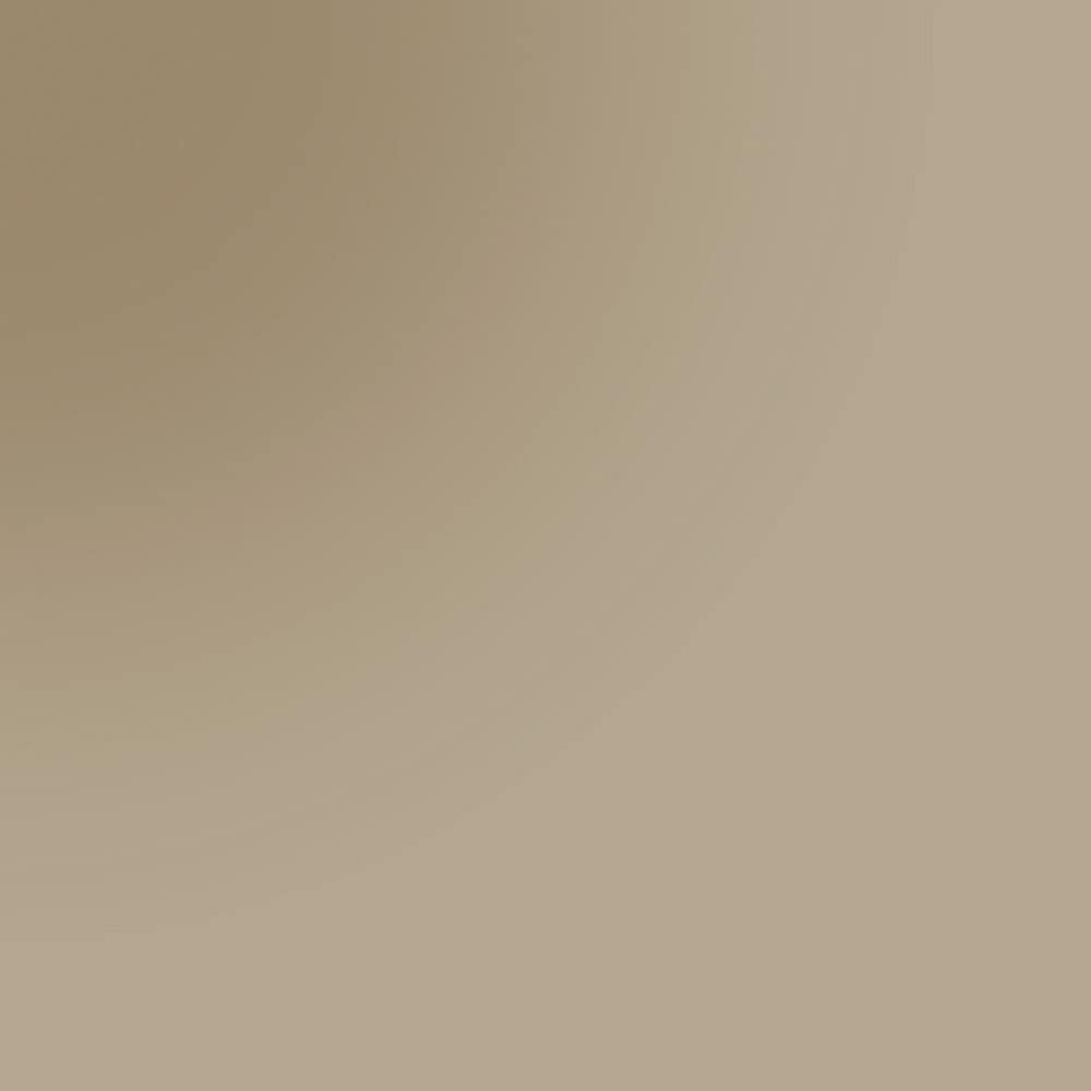 3051 Bronzed