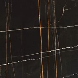 BLACK SAHARA