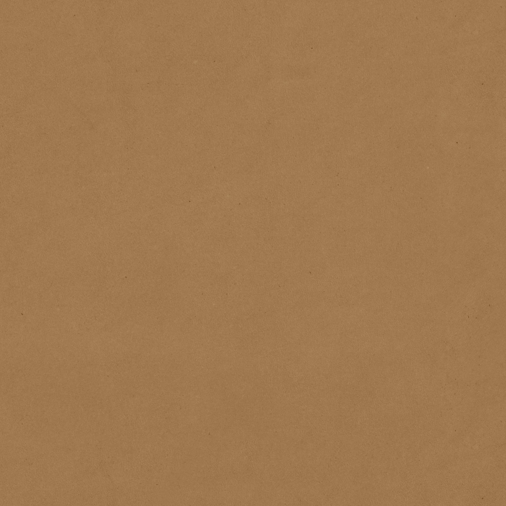 05 Cammello