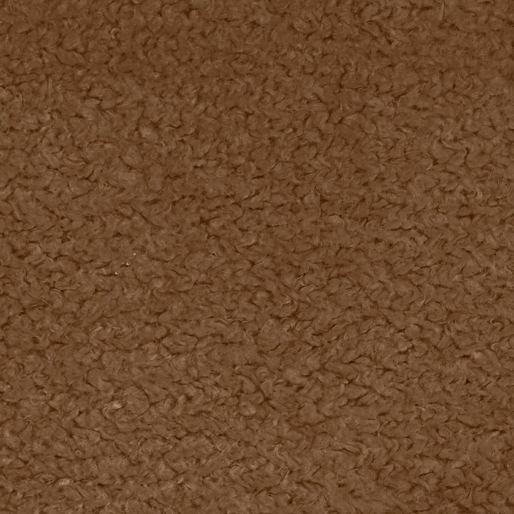 03 Cammello